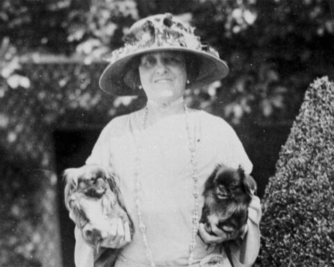A rare Edith Wharton story is unearthed about the gap between everyday life and the horrors of WWI
