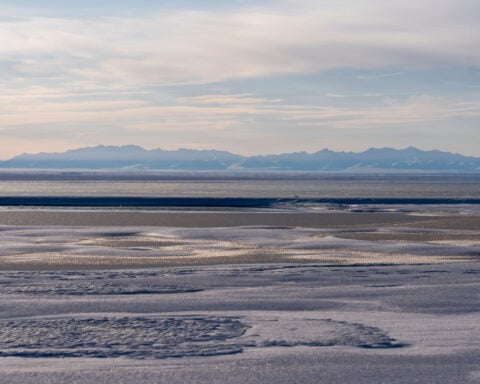 Limited interest in latest oil and gas lease sale for Alaska's Arctic National Wildlife Refuge