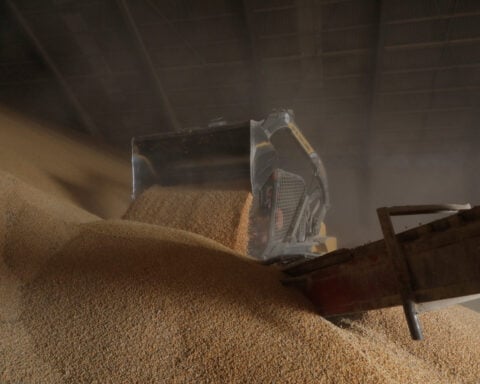 World food prices slip in May, still near three-year high, FAO says