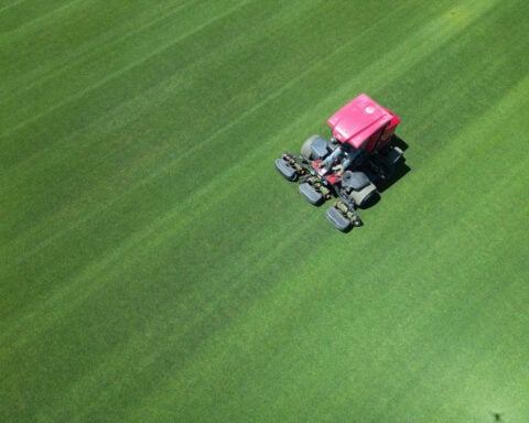 This Colorado farm grew the World Cup’s perfect pitch