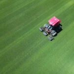 Inside a grass scientist’s 6-year quest to grow World Cup stadium turf