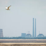Russia's Rosatom says Ukrainian drone hit engineers demining areas around Zaporizhzhia nuclear plant