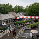 Renegade remains the favorite for the 158th running of the Belmont Stakes