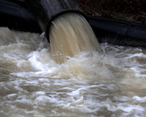 Health experts to screen US wastewater for disease outbreaks during World Cup