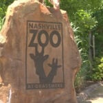Nashville Zoo fights proposed data center next door, citing risks to rare animals