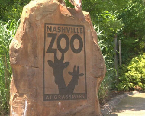 Nashville Zoo fights proposed data center next door, citing risks to rare animals