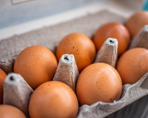 Childhood egg allergies fall as early introduction becomes more common, new study finds