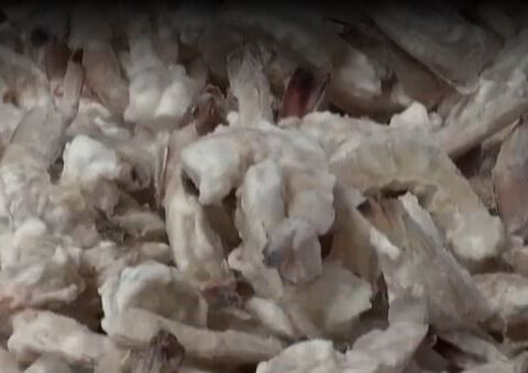 Restaurants caught serving imported shrimp, misleading consumers