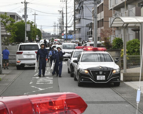 Japanese city captures bear that caused fear and school closures
