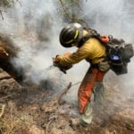 Firefighters face a higher risk of skin cancer – nano fabrics with tiny, rough fibers can help keep them safer