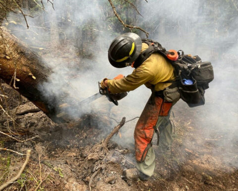 Firefighters face a higher risk of skin cancer – nano fabrics with tiny, rough fibers can help keep them safer
