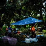 Thai jobs for Myanmar refugees could show way forward for Asian nations, UN says