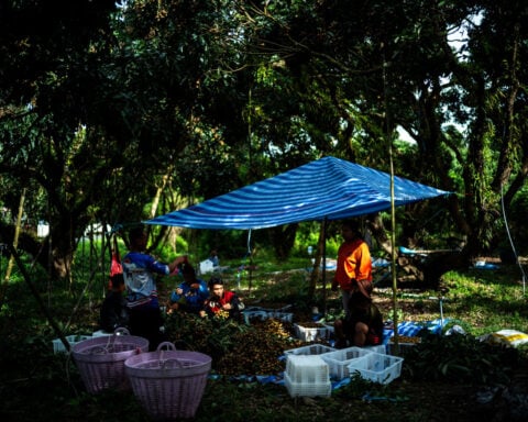 Thai jobs for Myanmar refugees could show way forward for Asian nations, UN says