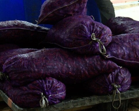Crawfish season winds down after unpredictable year in Louisiana