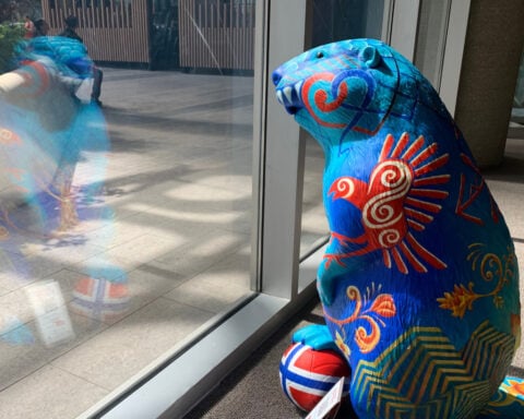 Join the beaver hunt: Toronto neighborhood offers unique World Cup-themed scavenger hunt