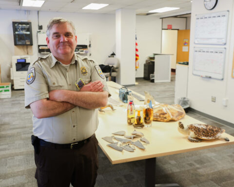 ‘Hey, this box stinks’: the weird work of intercepting trafficked wildlife in Alaska