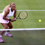 Dogs on Tour: Professional tennis players bring their pups on the road