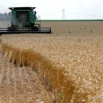 Rising fuel prices hit US farms as Iran war drags on