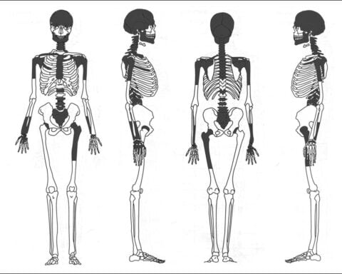 Iron Age woman likely had her brains scooped out before burial, study suggests