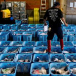 Japan wholesale inflation extends surge as energy shock hits