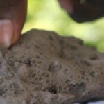 Pumice clogs island shores after Papua New Guinea eruption, stoking fears of food shortage