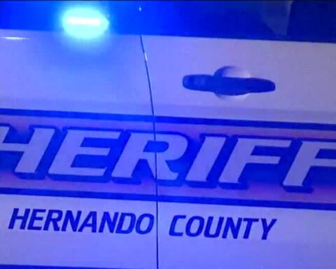 Human skull dropped off at thrift store leads to investigation in Florida: HCSO