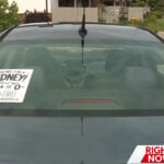 Spreading stickers for a solution: Woman using decals to find a kidney donor