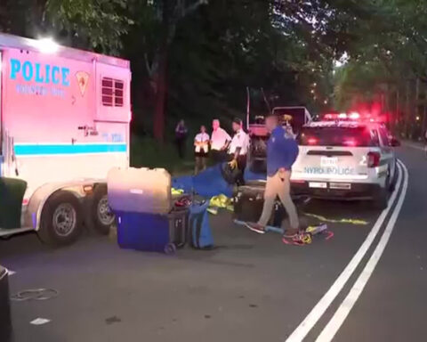 Carriage horse collapses, dies in Central Park, renewing calls to ban industry