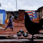 A cracked coffin, a funeral and the hunt for Ebola's patient zero