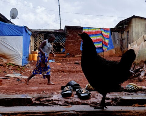 A cracked coffin, a funeral and the hunt for Ebola's patient zero