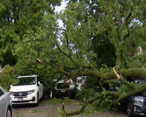 Massive tree falls on van full of kids during strong storms