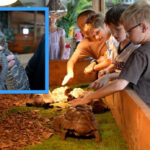 After facing closure, Idaho Reptile Zoo keeps rescuing animals and educating families