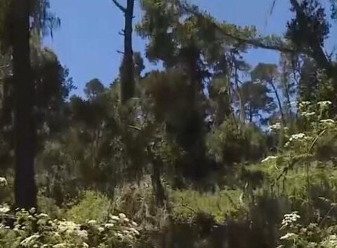 Human remains in Monterey County identified as man missing since 2013