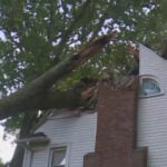 6-year-old girl rescued by father after tree fell on their home