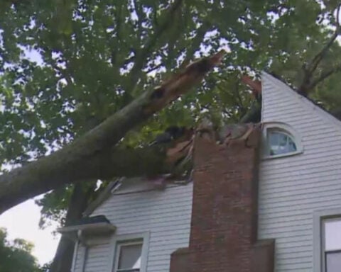 6-year-old girl rescued by father after tree fell on their home