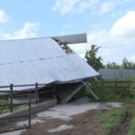 Family mourns beloved horse killed after barn collapses during severe storms