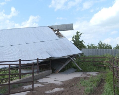 Family mourns beloved horse killed after barn collapses during severe storms