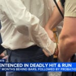 Doctor sentenced in hit-and-run death of California woman