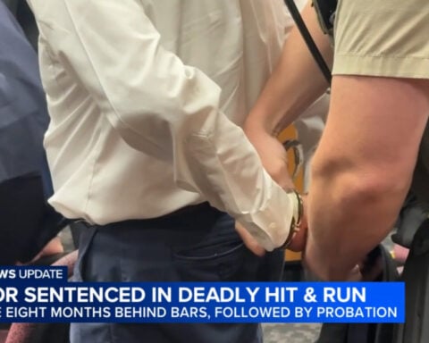 Doctor sentenced in hit-and-run death of California woman