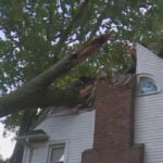 6-year-old girl rescued by father after tree falls on Michigan home