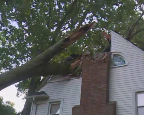 6-year-old girl rescued by father after tree falls on Michigan home