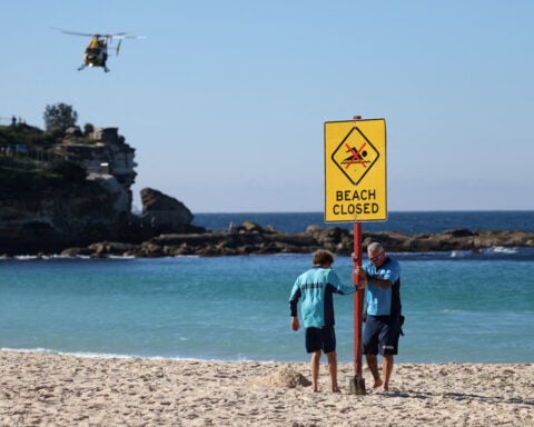 Shark attack pushes Australian state to review drone curbs