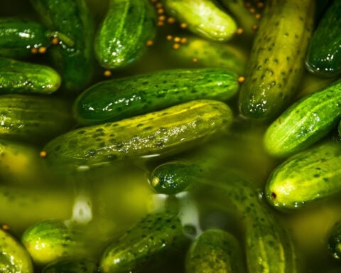 Watch Sara Sidner and Harry Enten try pickle smoothies in honor of International Pickle Day