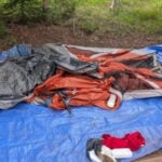 Colorado bear activity forces camping restrictions at Gore Creek Campground near Vail