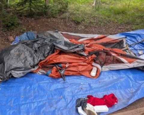 Colorado bear activity forces camping restrictions at Gore Creek Campground near Vail