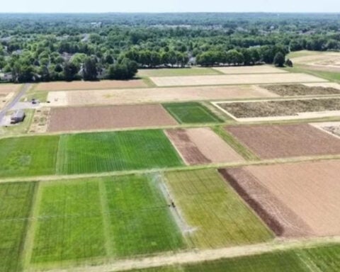 Most World Cup stadiums have Rutgers turfgrass, which is tested for toughness at a research farm in New Jersey