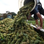 French wine exporters say Trump's latest tariff threat is bad news