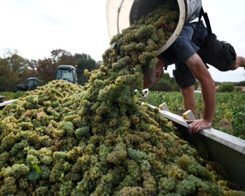 French wine exporters say Trump's latest tariff threat is bad news