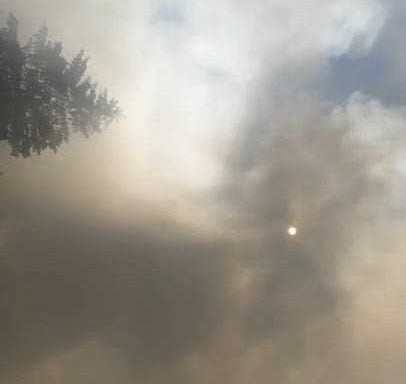 'It was like something out of a horror movie': Fire destroys multiple homes, business in Lancaster County, Pennsylvania