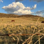 Australia declares strong El Nino in tropical Pacific as risks to agriculture loom